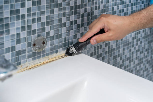 Best Toxic Mold Removal  in Apollo Beach, FL